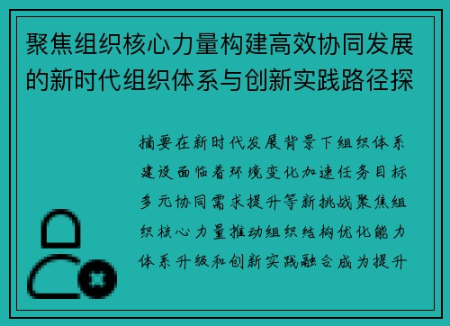 聚焦组织核心力量构建高效协同发展的新时代组织体系与创新实践路径探索